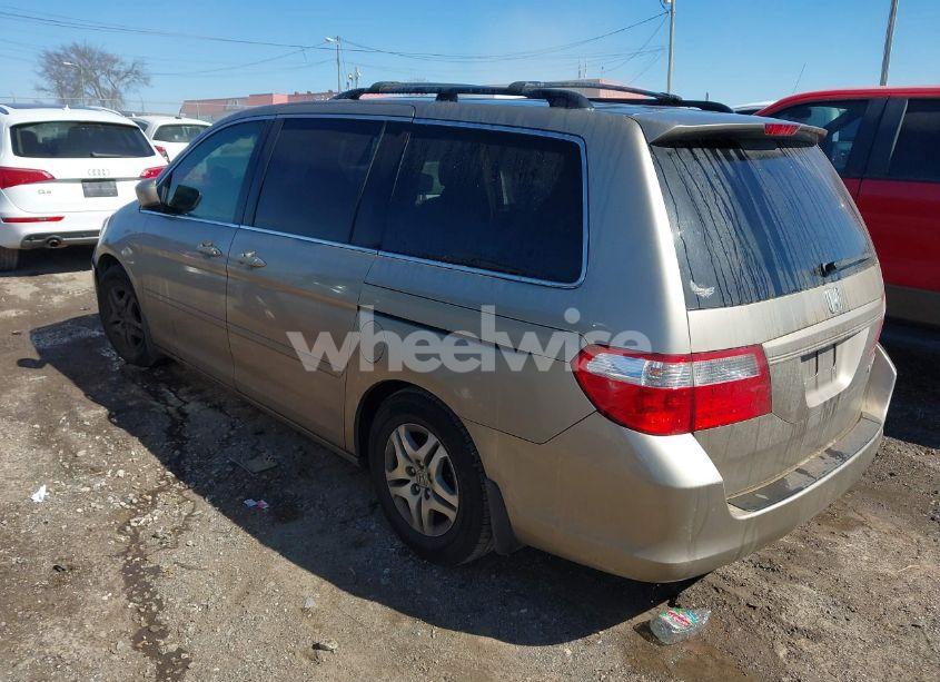 Photo 3 of 2005 Honda Odyssey EX-L (VIN 5FNRL387X5B122844)