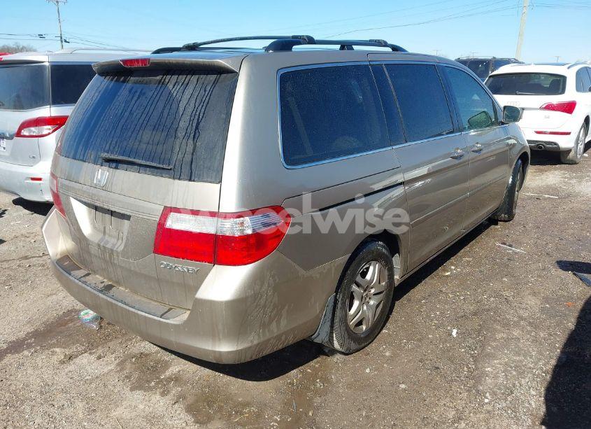 Photo 4 of 2005 Honda Odyssey EX-L (VIN 5FNRL387X5B122844)