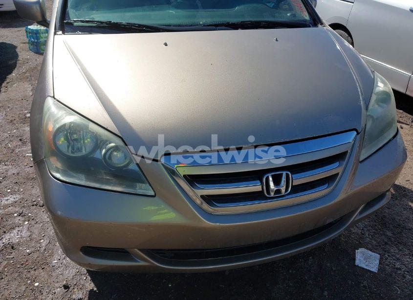 Photo 6 of 2005 Honda Odyssey EX-L (VIN 5FNRL387X5B122844)