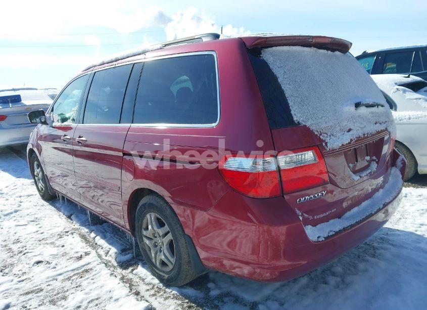 Photo 3 of 2006 Honda Odyssey EX-L (VIN 5FNRL387X6B073601)