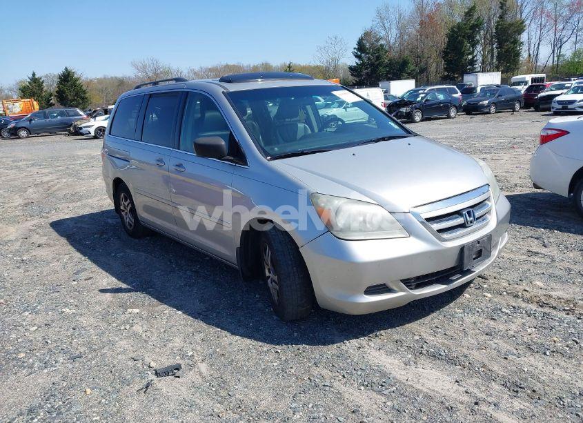 2007 Honda Odyssey EX-L (VIN 5FNRL387X7B080906) main photo