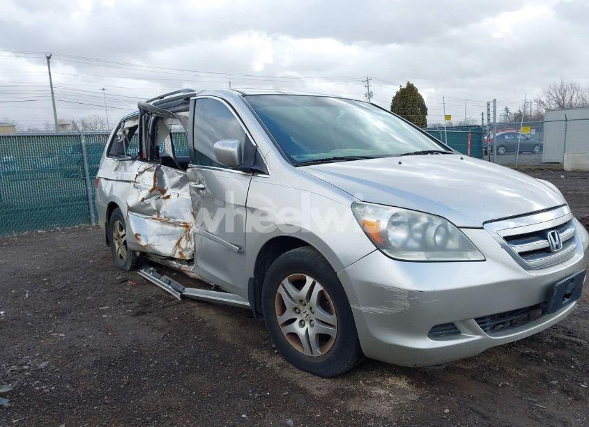 2007 Honda Odyssey EX-L (VIN 5FNRL387X7B407708) main photo