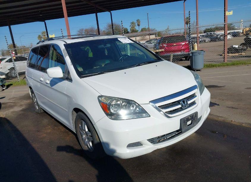 2007 Honda Odyssey EX-L (VIN 5FNRL387X7B419843) main photo