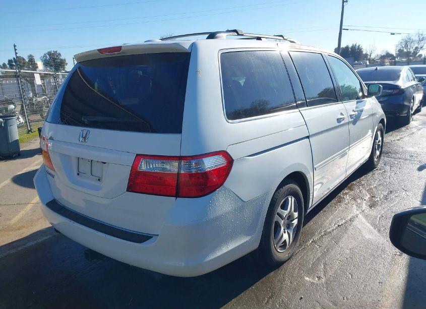 Photo 4 of 2007 Honda Odyssey EX-L (VIN 5FNRL387X7B419843)