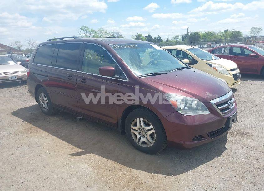 2007 Honda Odyssey EX-L (VIN 5FNRL387X7B421270) main photo