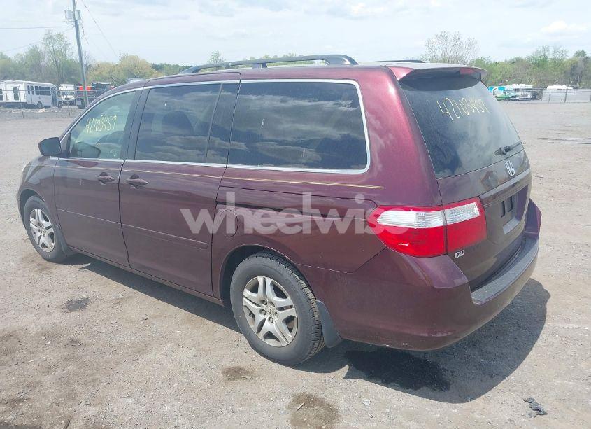 Photo 3 of 2007 Honda Odyssey EX-L (VIN 5FNRL387X7B421270)