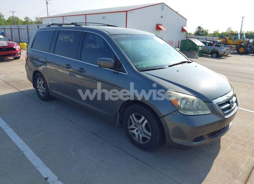 2007 Honda Odyssey EXL (VIN 5FNRL387X7B436772) main photo