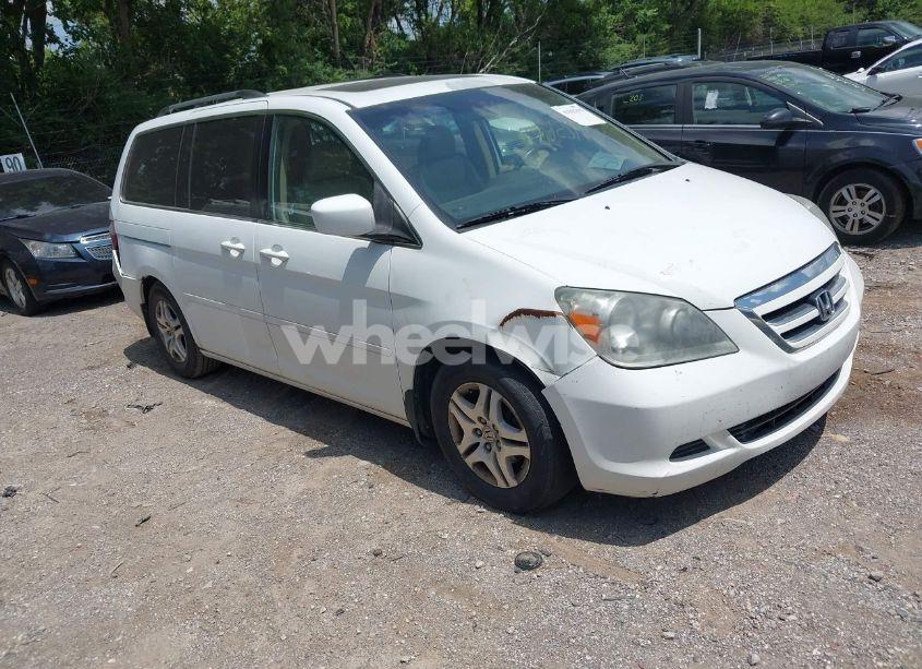 2007 Honda Odyssey EX-L (VIN 5FNRL387X7B456309) main photo