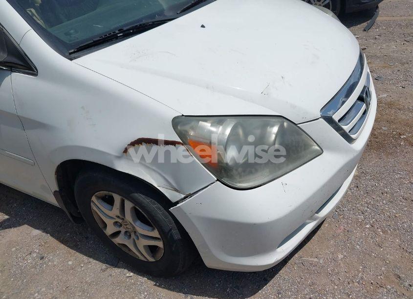 Photo 14 of 2007 Honda Odyssey EX-L (VIN 5FNRL387X7B456309)