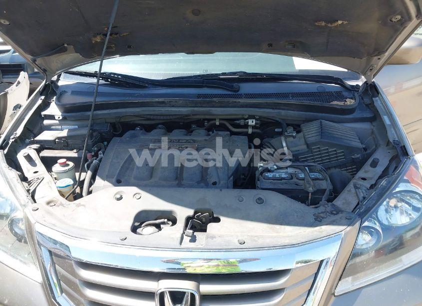 Photo 10 of 2008 Honda Odyssey EX-L (VIN 5FNRL387X8B032419)