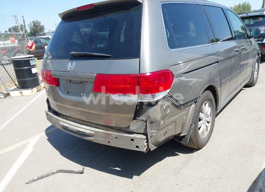 Photo 13 of 2008 Honda Odyssey EX-L (VIN 5FNRL387X8B032419)