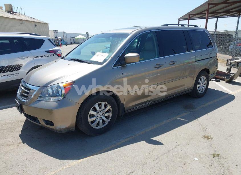 Photo 2 of 2008 Honda Odyssey EX-L (VIN 5FNRL387X8B032419)