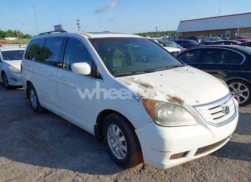 2008 Honda Odyssey EX-L (VIN 5FNRL387X8B059006) main photo