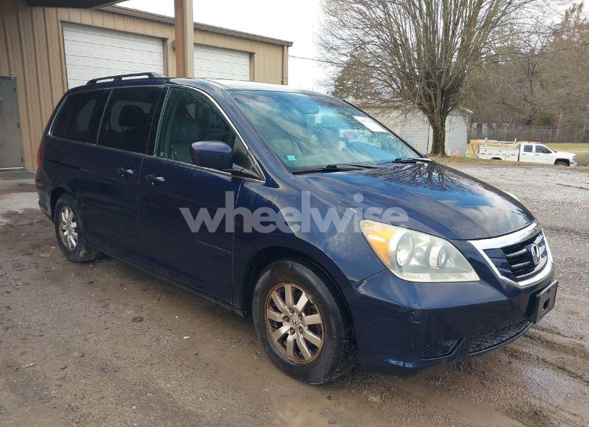 2008 Honda Odyssey EX-L (VIN 5FNRL387X8B094077) main photo