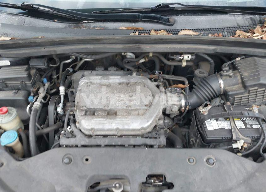 Photo 10 of 2008 Honda Odyssey EX-L (VIN 5FNRL387X8B094077)