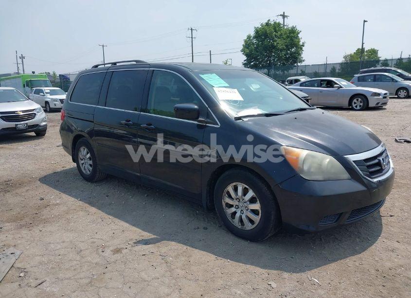 2009 Honda Odyssey EX-L (VIN 5FNRL387X9B047231) main photo