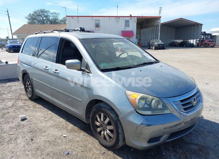 2009 Honda Odyssey EX-L (VIN 5FNRL387X9B054485) main photo