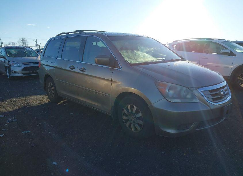 2009 Honda Odyssey EX-L (VIN 5FNRL387X9B402589) main photo