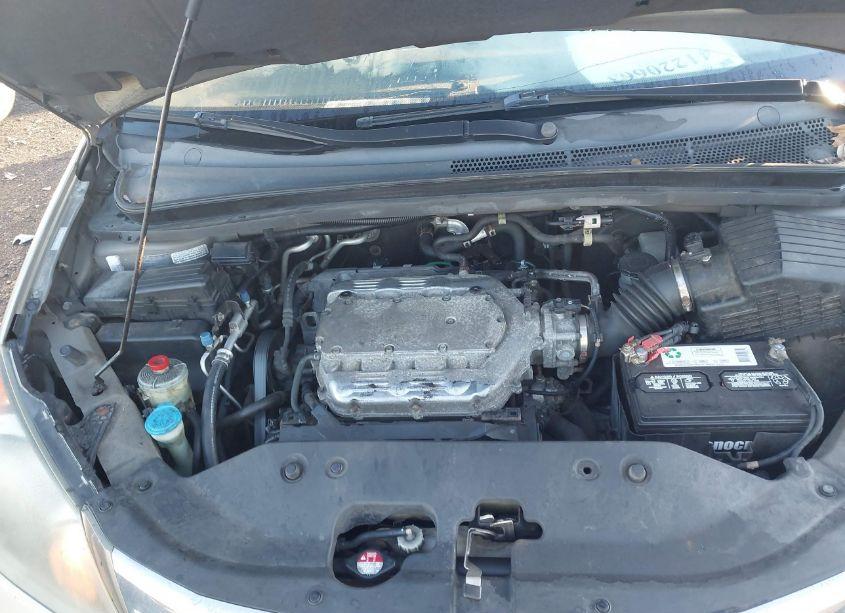 Photo 10 of 2009 Honda Odyssey EX-L (VIN 5FNRL387X9B402589)