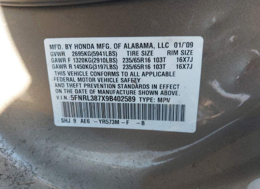 Photo 9 of 2009 Honda Odyssey EX-L (VIN 5FNRL387X9B402589)