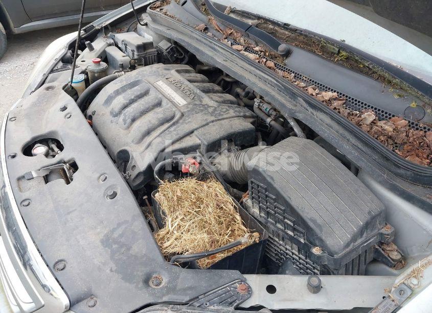 Photo 10 of 2005 Honda Odyssey TOURING (VIN 5FNRL38805B124661)