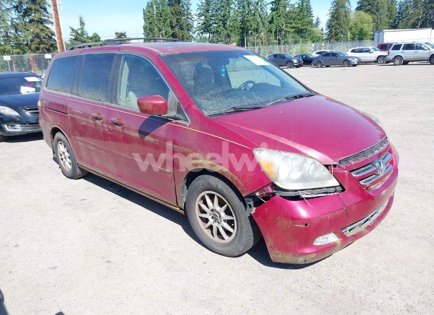 2006 Honda Odyssey TOURING (VIN 5FNRL38816B096273) main photo