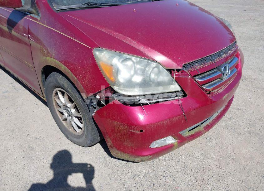 Photo 6 of 2006 Honda Odyssey TOURING (VIN 5FNRL38816B096273)