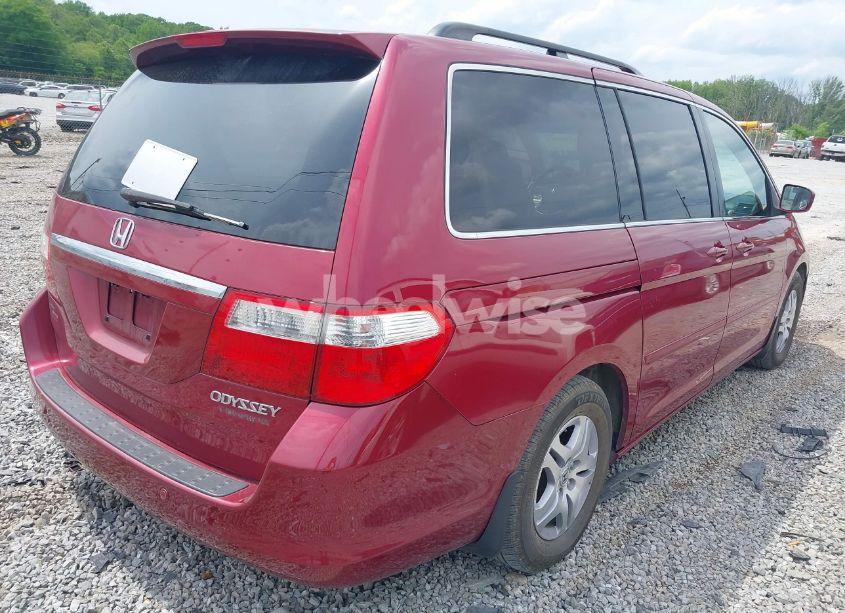 Photo 4 of 2005 Honda Odyssey TOURING (VIN 5FNRL38825B010337)