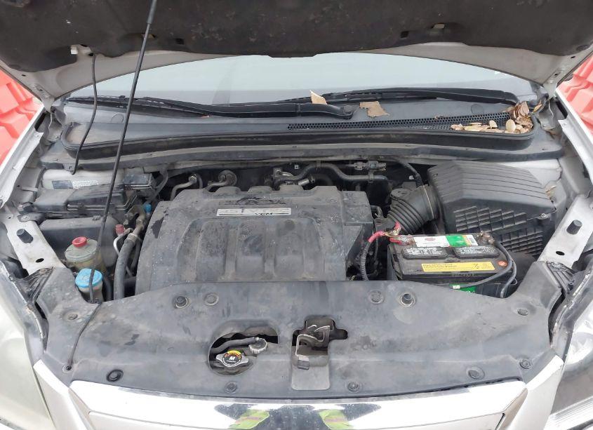 Photo 10 of 2005 Honda Odyssey TOURING (VIN 5FNRL38825B088830)