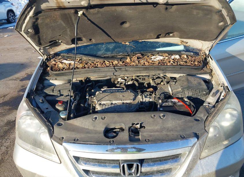 Photo 10 of 2007 Honda Odyssey TOURING (VIN 5FNRL38837B060702)