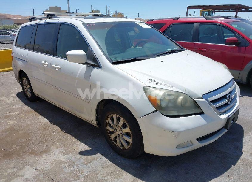 2007 Honda Odyssey TOURING (VIN 5FNRL38837B091593) main photo