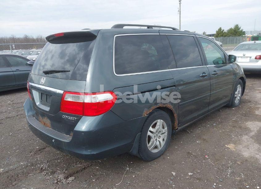 Photo 4 of 2005 Honda Odyssey TOURING (VIN 5FNRL38845B076811)