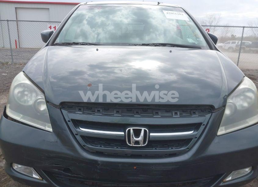 Photo 6 of 2005 Honda Odyssey TOURING (VIN 5FNRL38845B076811)