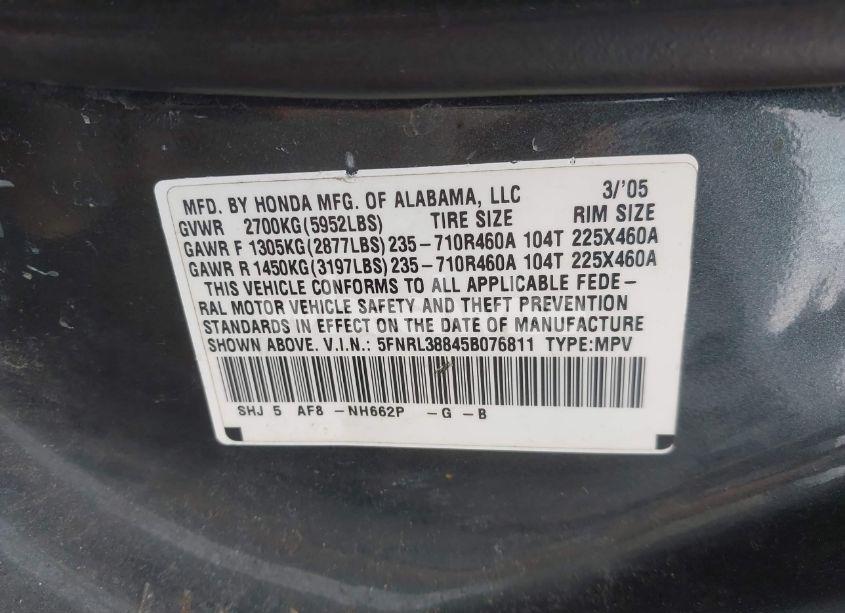 Photo 9 of 2005 Honda Odyssey TOURING (VIN 5FNRL38845B076811)