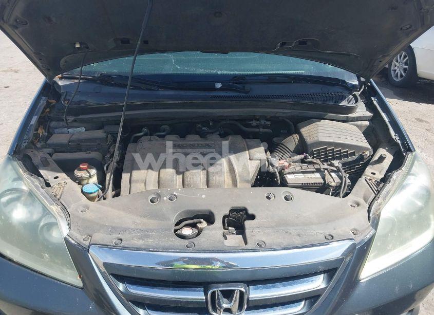 Photo 10 of 2005 Honda Odyssey TOURING (VIN 5FNRL38855B091754)