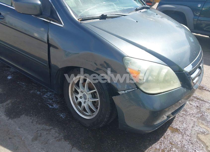 Photo 6 of 2005 Honda Odyssey TOURING (VIN 5FNRL38855B091754)