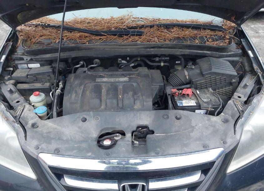 Photo 10 of 2007 Honda Odyssey TOURING (VIN 5FNRL38867B105776)