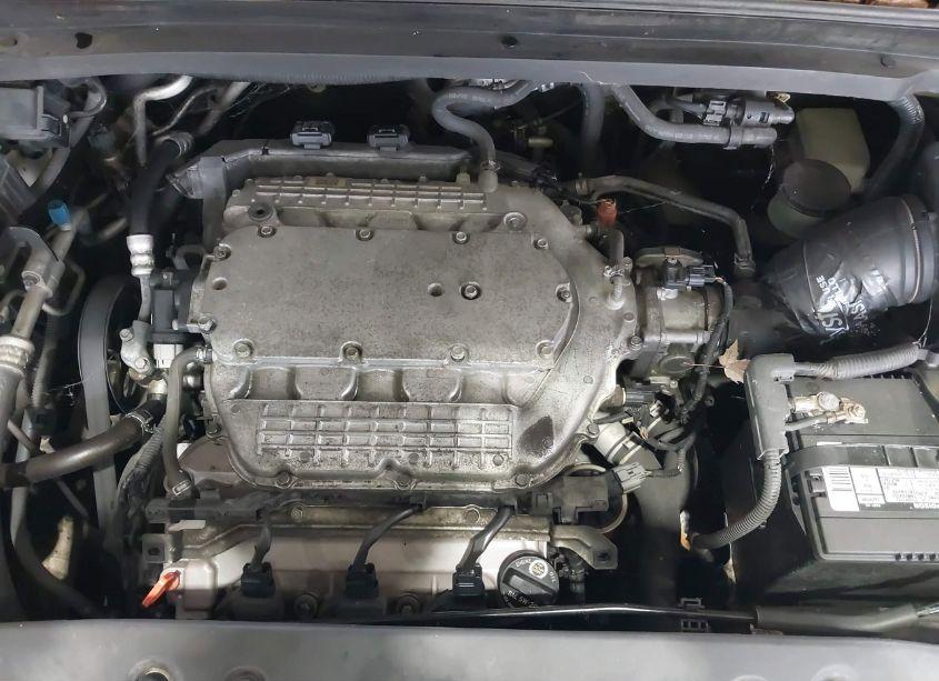 Photo 10 of 2006 Honda Odyssey TOURING (VIN 5FNRL38876B108362)