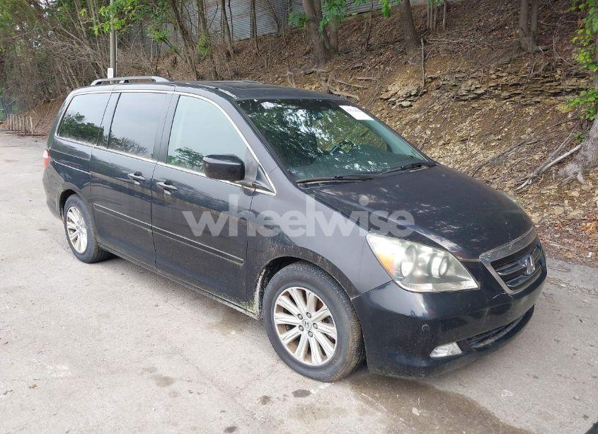 2005 Honda Odyssey TOURING (VIN 5FNRL38885B082028) main photo