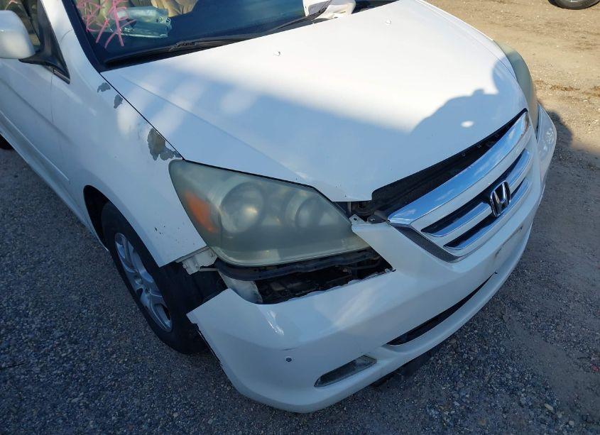 Photo 6 of 2006 Honda Odyssey TOURING (VIN 5FNRL38886B021389)