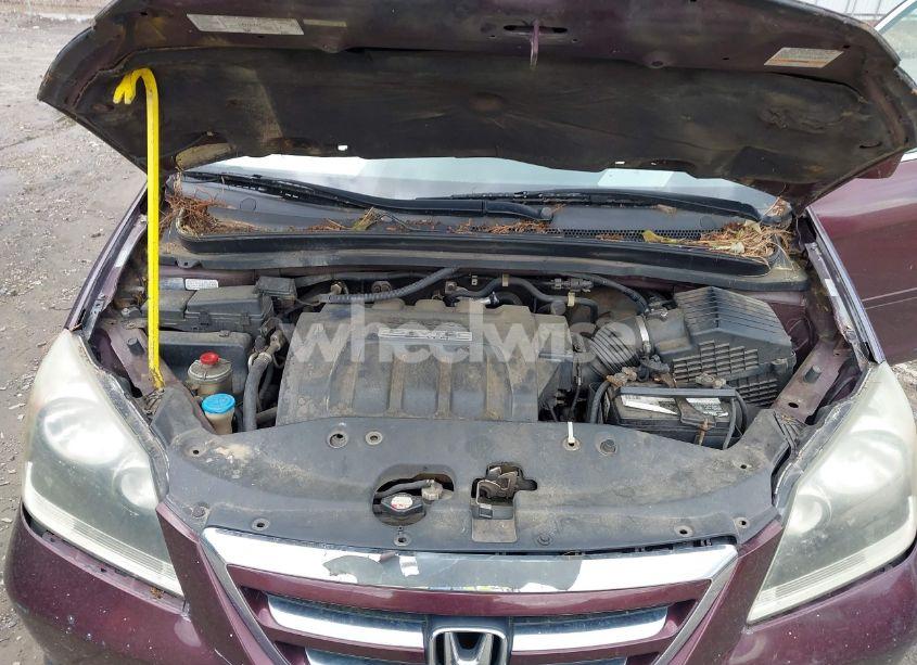 Photo 10 of 2007 Honda Odyssey TOURING (VIN 5FNRL38887B121770)