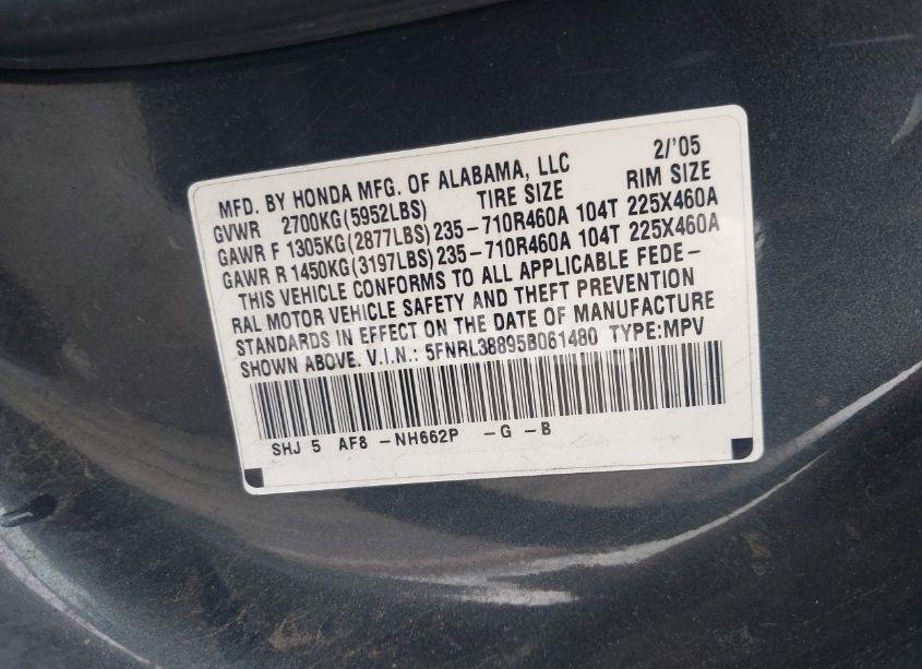 Photo 9 of 2005 Honda Odyssey TOURING (VIN 5FNRL38895B061480)