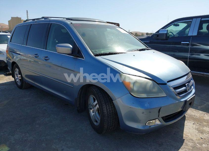 2005 Honda Odyssey TOURING (VIN 5FNRL38895B073936) main photo