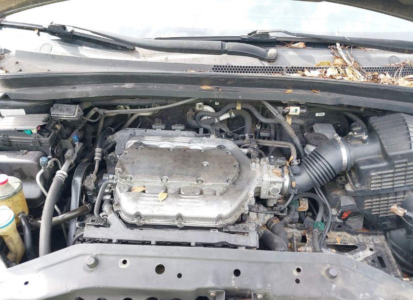 Photo 10 of 2008 Honda Odyssey TOURING (VIN 5FNRL38908B086121)