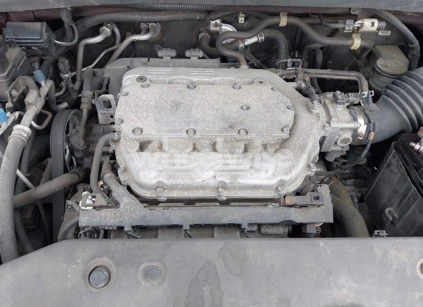 Photo 10 of 2009 Honda Odyssey TOURING (VIN 5FNRL38929B037150)