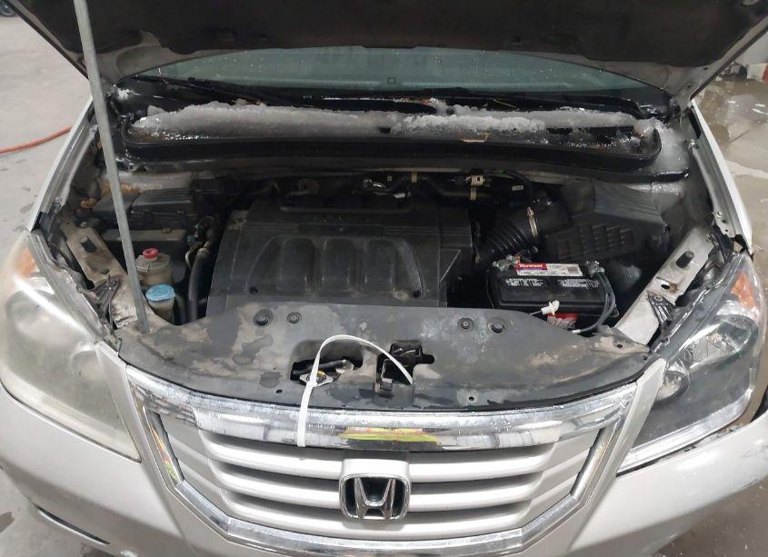 Photo 10 of 2009 Honda Odyssey TOURING (VIN 5FNRL38929B058970)