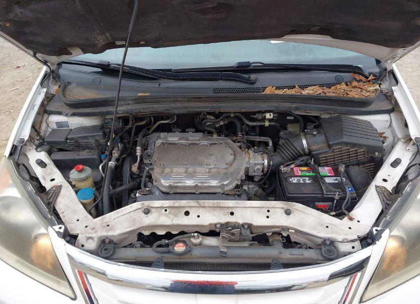 Photo 10 of 2008 Honda Odyssey TOURING (VIN 5FNRL38978B028250)