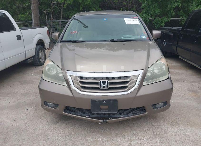 Photo 6 of 2009 Honda Odyssey TOURING (VIN 5FNRL38989B052672)