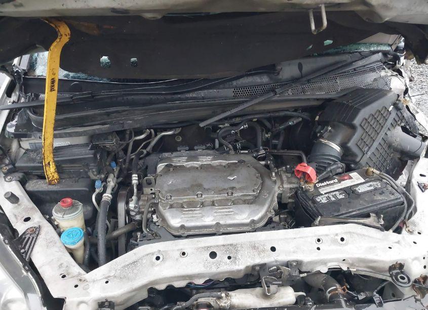 Photo 10 of 2008 Honda Odyssey TOURING (VIN 5FNRL389X8B084456)