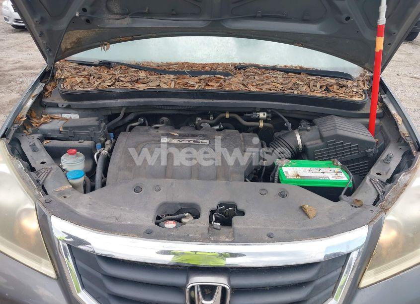 Photo 10 of 2010 Honda Odyssey LX (VIN 5FNRL3H20AB111768)